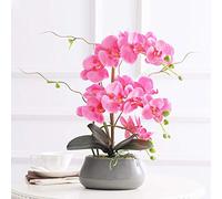 XFLSDHGD Phalaenopsis Orchid Floral Disposition in Vaso, Orchidee finte di Seta Fiori Artificiali per Interni per la Decorazione per Ufficio per Matrimoni da casa Esterno.