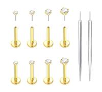 XFSRG Orecchini Donna Zirconi Stile a Inserimento Orecchini con Ago Guida per Cartilagine Piercing al Labbro Ipoallergenici per l'Uso Quotidiano Appuntamenti Regali