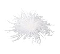 XFSRG Spilla a forma di piuma struzzo Spille gioiello boho floreale decorativa per vestiti accessori moda eleganti spillette da donna (Bianco)