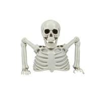 Xgdsnly Torso di Scheletro Realistico, Array, Bianco | Dettagli con Gabbia Toracica Esposta, Scheletro da Tavolo, Robusto, Figura Scheletrica, per Casa Stregata