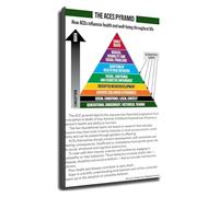 XGINERFEX Adverse Childhood Experiences ACEs Pyramid Chart Psychology Educational Poster Mental Health Awareness Wall-Art Office Decor(Unframed,12x18inch(30x45cm))