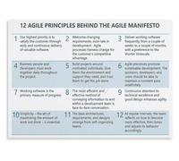 XGINERFEX Agile Scaling Principles Poster Set Large Team Coordination Guide Wall Decor for Program Manager Office(Unframed,08x12inch(20x30cm))