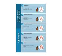 XGINERFEX Backyard Chickens Poster Poultry Care Chart Anatomy Guide for Coop Wall Decor and Education(Unframed,08x12inch(20x30cm))