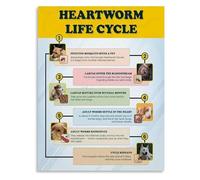 XGINERFEX Canvas Wall-Art Heartworm Life Cycle Veterinary Reference Poster for Pet Hospital Decor(Unframed,12x18inch(30x45cm))