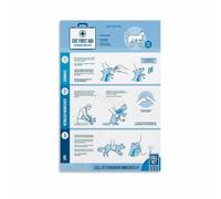 XGINERFEX Cat CPR Choking First Aid Poster Pet Emergency Guide Educational Wall Decor for Home Pet Owner Veterinary Clinic Print(Unframed,16x24inch(40x60cm))