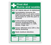 XGINERFEX Complete Burns and Scalds Poster Chemical Electrical Sunburn Canvas Wall-Art for Camping RV Decor(Unframed,12x18inch(30x45cm))