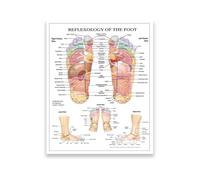 XGINERFEX Educational Foot Anatomy Poster Human Body Reference Guide Zones Chart Wall-Art for Home Office Study Room(Framed,08X12inch(20X30cm))