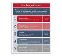 XGINERFEX Five Level Triage Categories Poster Emergency Department Canvas Print for Triage Nurse Training Wall Hanging Decor(Framed,08x12inch(20x30cm))