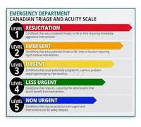 XGINERFEX Five Level Triage Categories Poster Emergency Department Canvas Print for Triage Nurse Training Wall Hanging Decor(Framed,16x24inch(40x60cm))