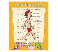 XGINERFEX Fun Facts About The Human Body Poster - Illustrated Educational Poster for Curious Kids, Elementary Science Class & Home School (Unframed,16x24inch(40x60cm))