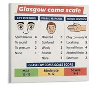 XGINERFEX GCS Scoring Chart Poster - Glasgow Coma Scale Reference for Nursing, Medical Student & EMT Training, Office Decor(Framed,16x24inch(40x60cm))
