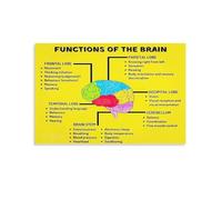XGINERFEX Gift for Science Lover - Brain Function Anatomy Canvas Art Print - Educational Poster for Neurologist, Student, Therapist Office Decor(Unframed,16x24inch(40x60cm))