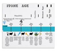 XGINERFEX History Timeline Poster Stone Age World History Educational Wall-Art For School Teaching Study Room(Unframed,08x12inch(20x30cm))
