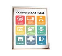 XGINERFEX Internet Poster Digital Citizenship Rules Educational Classroom Decor Printable for Teachers Homeschool(Unframed,16X24inch(40X60cm))