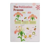 XGINERFEX Learning Botany Science Poster Process of Pollination Educational Wall-Art for Classroom Study(Framed,16x24inch(40x60cm))