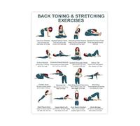 XGINERFEX No Equipment Back Workout Poster Seated Standing Gentle Exercises Chart For Home Gym Physical Room Decor(Unframed,12x18inch(30x45cm))