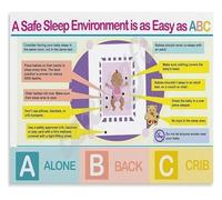 XGINERFEX Nursery Wall Decor Safe Sleep Rules Poster ABCs of Safe Sleep Guide for Infant Care Newborn Essentials Chart Parents Gift(Unframed,16x24inch(40x60cm))
