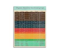 XGINERFEX Organic Chemistry Poster - Functional Groups Chart for Science Education and Classroom Decor(Unframed,16x24inch(40x60cm))