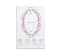 XGINERFEX Permanent Teeth Eruption Chart Health Poster Orthodontic Learning Tool Classroom Clinic Decor(Framed,16x24inch(40x60cm))