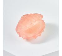 XGINERFEX Rainbow Fluorite Seashell Carving,Rose Quartz Crystal Figurines for Home Decor, Hand Carved Sculpture for Feng Shui Ornament & Gift Gemstone Stone
