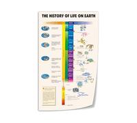 XGINERFEX Science Classroom Decor Canvas Poster Evolution of Life History Timeline Wall-Art Print for Biology Teacher Gift Home Office(Unframed,08X12inch(20X30cm))