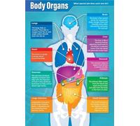 XGINERFEX Science Classroom Decor Educational Human Body Organs Poster Labeled Anatomy Chart for Biology Students Middle and High School(Framed,08x12inch(20x30cm))