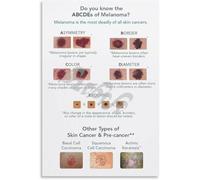 XGINERFEX The Skin Chart Anatomy and Physiology Poster Dermatology Educational Canvas Print Wall Decor for Classroom Clinic Waiting Room(Framed,16x24inch(40x60cm))