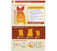 XGINERFEX The Thoughtful Pet Parent Dog Heat Reference Poster Canvas Wall-Art for Bedroom or Holistic Animal Center(Unframed,16x24inch(40x60cm))