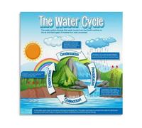 XGINERFEX The Water Cycle Educational Poster Science Classroom Decor Canvas Print for Teachers Elementary School Wall-Art(Unframed,12X18inch(30X45cm))