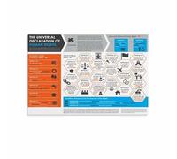 XGINERFEX United Nations UDHR Poster Print Historical Human Rights Charter for Educational Display(Framed,16x24inch(40x60cm))
