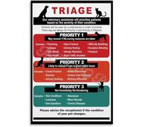 XGINERFEX Urgent Pet Situations Guide Poster for Dogs Cats Home Care Reference Chart What to Do Next Educational Wall Decor Sign(Unframed,12x18inch(30x45cm))