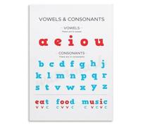XGINERFEX Vowel Consonant Recognition Poster Phonics Alphabet Chart for Reading Intervention and Tutoring(Framed,16x24inch(40x60cm))