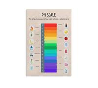 XHAJCSJWGD PH Scale Educational Poster Chemistry Anchor Chart Canvas Wall-Art for Middle School Science(Unframed,08x12inch(20x30cm))