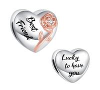 XHBYINFO Charm a forma di rosa rialzata da donna, compatibile con | Charm per braccialetti e collane con scritta in lingua inglese "Family Members Friend" Lucky to Have You