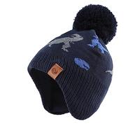 XIAOHAWANG Bambino e Bambina Cappello Lavorato A Maglia Inverno Caldo Berretto per Bambini Autunno A Prova di Vento 0-7 Anni, Dinosuaro Marina (Cappello, 9-24 Mesi)