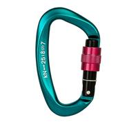 XIAOQENAN Professione 25KN ALLUMINUM Alloy Carabiner D Shape Carabiner Clip Security Alpnee Alpinismo Roccia Esterna Accape da Ginnastica in Alluminio Sicurezza in Alluminio