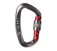 XIAOQENAN Professione 25KN ALLUMINUM Alloy Carabiner D Shape Carabiner Clip Security Alpnee Alpinismo Roccia Esterna Accape da Ginnastica in Alluminio Sicurezza in Alluminio