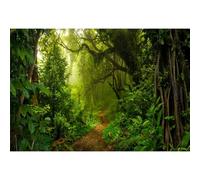 Xiaoterna 1,5x1m Decorazione per feste Sfondo foresta tropicale giungla Bosco fiabesco Sfondo fotografico alla luce del sole Primavera foresta incantata sfondo Decorazione per feste di compleanno