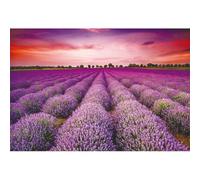 Xiaoterna 1,5x1m Il maniero della lavanda Sfondo Viola lavanda verde albero sfondo fotografico di viaggio Provenza Manor tramonto campo di fiori sfondo Bambini Adulti Ritratto Foto Puntelli