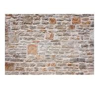 Xiaoterna 2,2x1,5m Sfondo muro Rustico vecchio muro fattoria pietra marrone mattone muro sfondo fotografico Sfondo di muro medievale in pietra Bambini Adulti Famiglia Oggetti di scena per ritratti