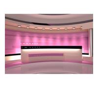 Xiaoterna 2,5x1,8m Sala per la trasmissione di notizie Sfondo Mattina notizie rosa schermo rosa riflettore fotografia sfondo Studio televisivo di lusso per le notizie Sfondo Ritratto Foto Puntelli