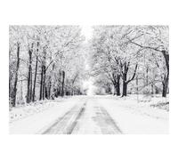 Xiaoterna 3,5x2,5m Scenario invernale da favola con bosco innevato Sentiero innevato nel bosco Sfondo fotografico natalizio bianco Paesaggio naturale con parco innevato Decorazioni per feste