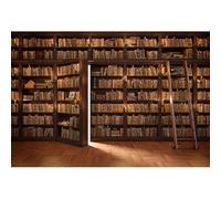 Xiaoterna 3x2m Sfondo libreria retrò Biblioteca scolastica Retrò Libreria Libri antichi Sfondo fotografico Lusso Europa biblioteca medievale sfondo libreria Bambini Ritratto Foto Puntelli