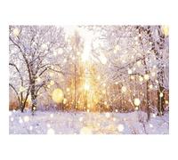 Xiaoterna 4,5x2,5m Sfondo del paese delle meraviglie d'inverno Mondo bianco congelato Sfondo fotografico natalizio Alberi della foresta Scenario di neve Puntini glitterati Decorazioni per feste