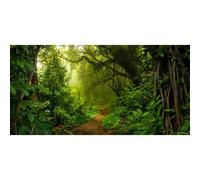 Xiaoterna 6x3m Decorazione per feste Sfondo foresta tropicale giungla Bosco fiabesco Sfondo fotografico alla luce del sole Primavera foresta incantata sfondo Decorazione per feste di compleanno