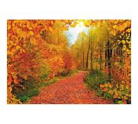 Xiaoterna 6x3m Sfondo autunnale con foglie cadute Sfondo fotografico con paesaggio naturale autunnale nella foresta Sentiero nel parco con alberi di acero giallo Decorazioni per feste all'aperto