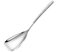 XIAOXIAOYU SPOONS METAL SERVIZIO SPOONS, cucchiaio grande | Spolam d'argento - cucchiaino da tè per matrimoni di cucina, ristorante, utensili in acciaio