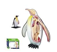 Xiaoxu Modello anatomico di Pinguino con 28 organi Staccabili, Ideale per la didattica in biologia e Medicina Animale, a Scopo di insegnamento e Ricerca.