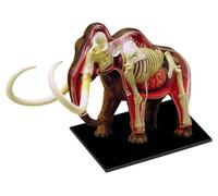 Xiaoxu Modello di organi anatomici per l'insegnamento dell'assemblaggio dell'anatomia Animale del Mammut, Modello delle Parti del Corpo, organi visivi per Il Modello dello Scheletro