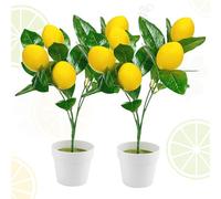 XIAQICA 2 pezzi Limoni Decorativi Rami di Limoni Artificiali Pianta di Limone Finta Piante Artificiali da Esterno per Decorazione del Tavolo Della Libreria Dell'ufficio della Camera